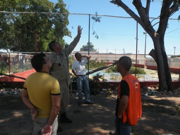 Árvores quebradas com vendaval são podadas
