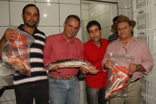 Piscicultores se unem e realizam feira com degustação e vendas de peixes